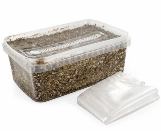 Substrat Set (sterilisiert)