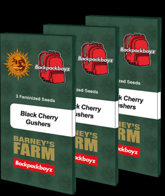 Black Cherry Gushers 305