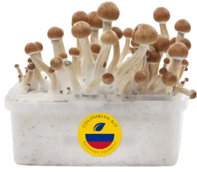 Grow Kit - Kolumbianische