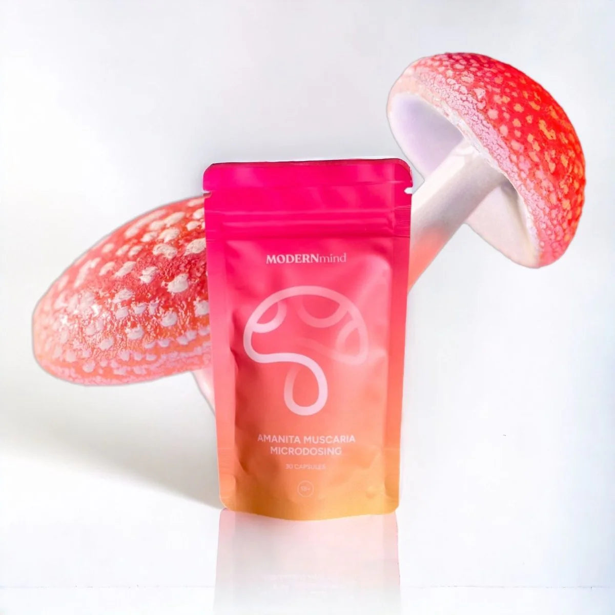 Fliegenpilz Microdosing Kapseln