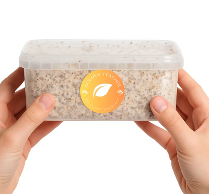 Grow Kit - Golden Teacher